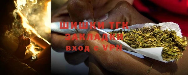 индика Арсеньев