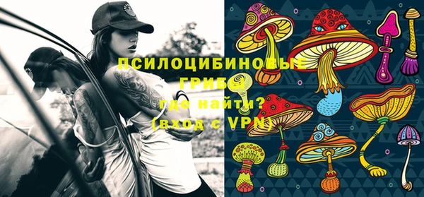 индика Арсеньев
