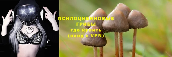 не бодяженный Армянск