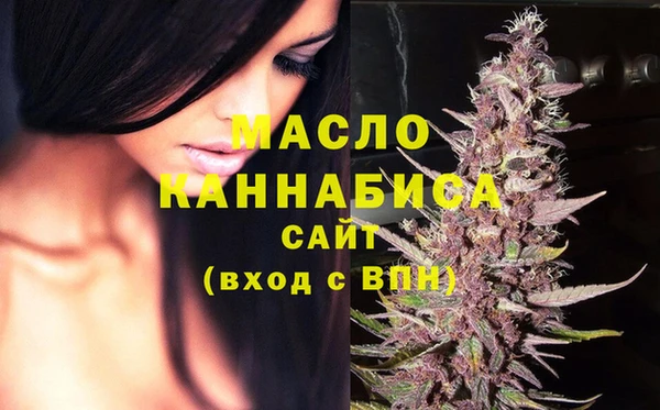 индика Арсеньев