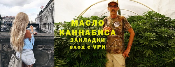 индика Арсеньев