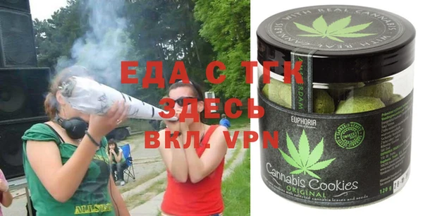 индика Арсеньев