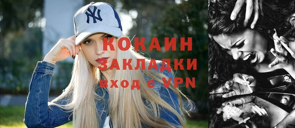 индика Арсеньев