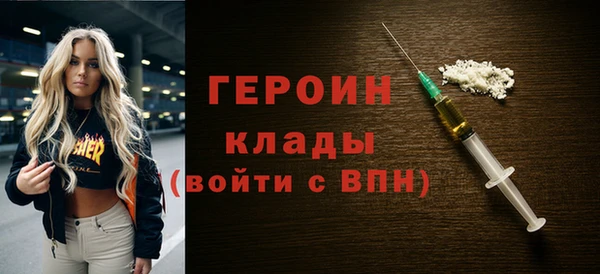 индика Арсеньев