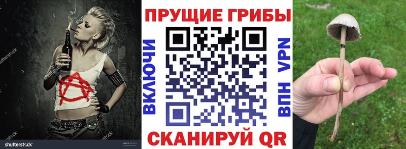 Псилоцибиновые грибы Psilocybine cubensis Сухиничи